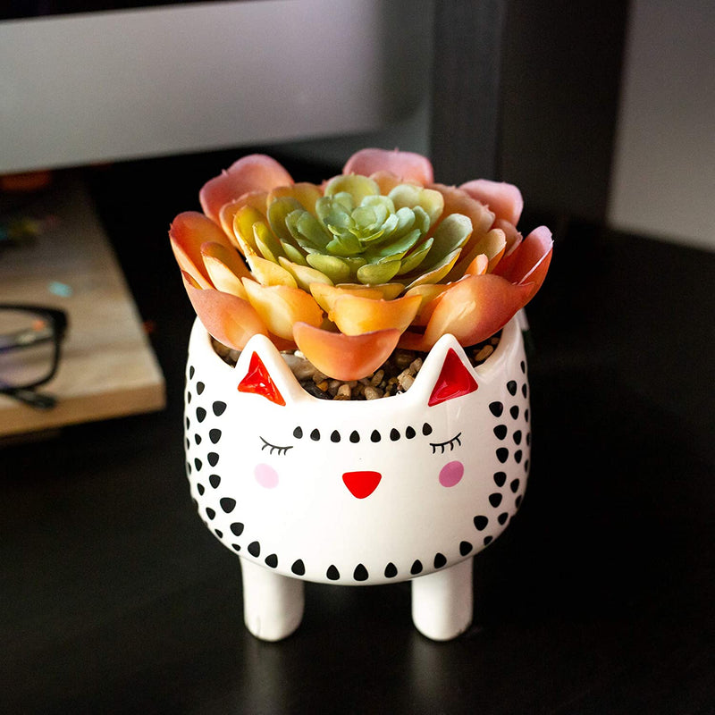 Artificial Succulent in Cute Cat Ceramic Planter